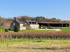 Gîte viticole tout inclus, jardin 3000m², vélos offerts, proche Saumur-Chinon-Langeais - FR-1-381-606